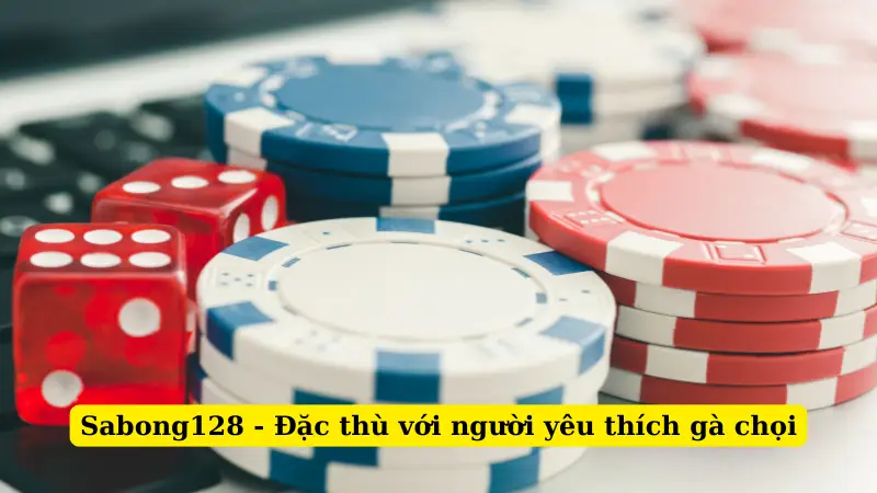 Sabong128 - Đặc thù với người yêu thích gà chọi